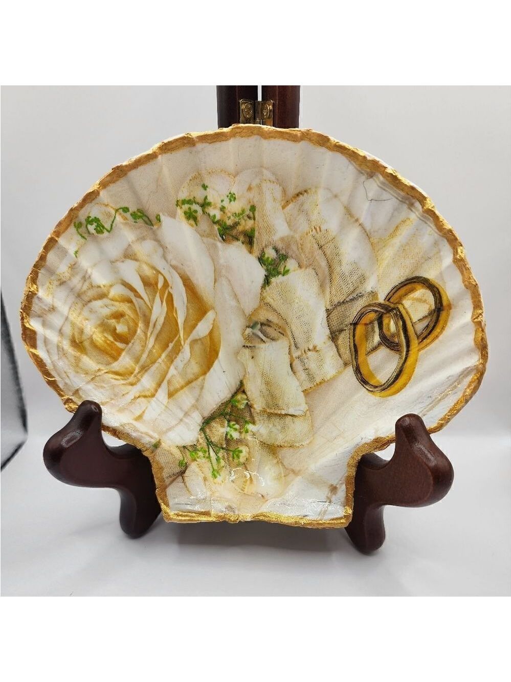 SCALLOPED FAN SHELL 